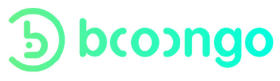 Booongo 1 Booongo