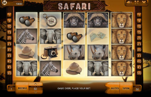 Safari 1